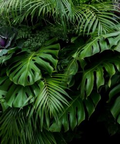 Fototapeta Zelené tropické listy 2