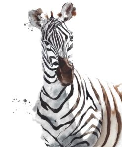 Fototapeta Portrét zebry