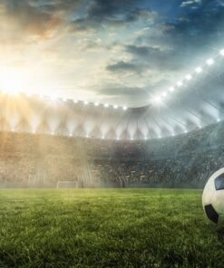 Fototapeta Fotbalový míč na stadionu