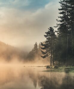Fototapeta Ranní mlha na jezeře