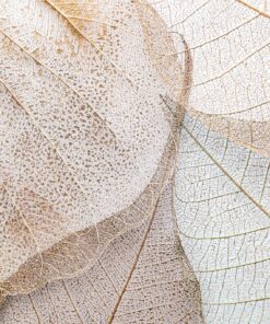 Samolepka na zeď Pastel Leaves 3