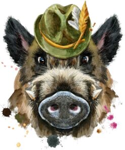 Fototapeta Kanec v klobouku