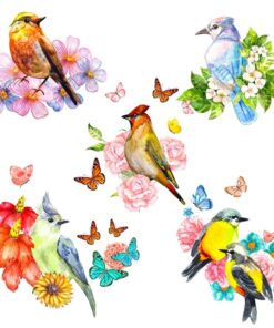 Fototapeta Malovaní ptáci