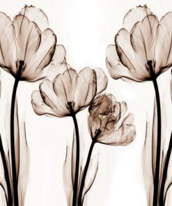 Fototapeta Čajové květy