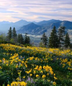 Fototapeta Květiny v horách 2