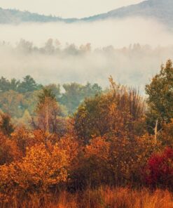 Fototapeta Autumn Fog