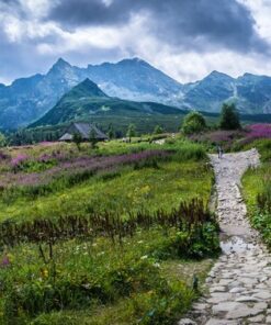 Fototapeta Hala Gąsienicowa 2