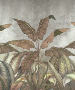 Fototapeta Liście Bananowca