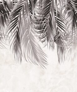 Fototapeta Liście Paproci