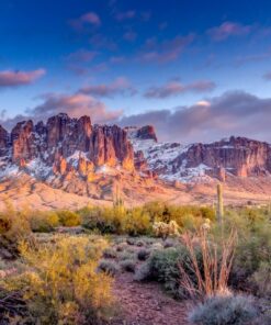 Fototapeta Kaktus a hory