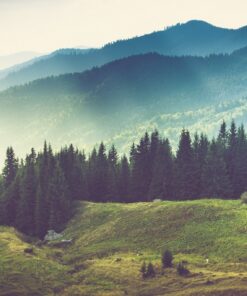 Fototapeta Slunečné hory