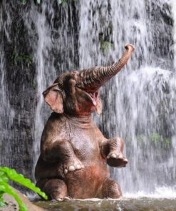 Fototapeta Slon pod sprchou