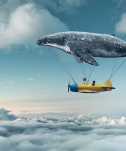 Fototapeta Let do snů