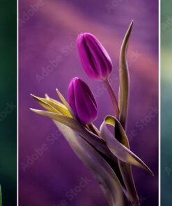 Samolepka na stěnu Tanec květin