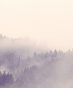 Fototapeta Mlha v lese