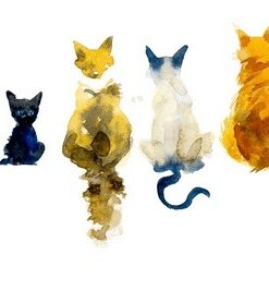 Fototapeta Malovaná koťátka