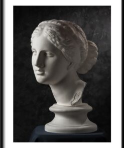 Plakát hlavy Venuše