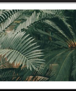 Plakát Svět listů