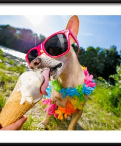 Chutný zmrzlinový plakát