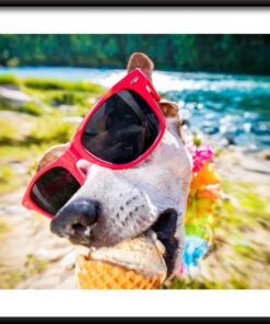 Plakát Psí pochoutka