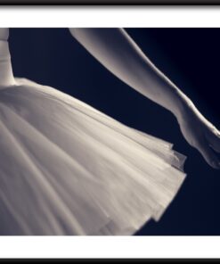 Plakát bílé baletky