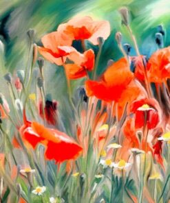 Fototapeta Červené máky 4