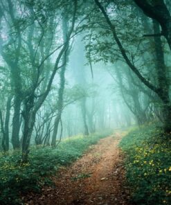 Fototapeta Úzká cesta