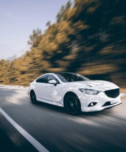 Fototapeta White Dipper