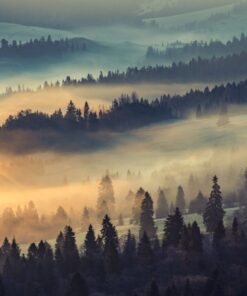 Fototapeta Ráno v horách