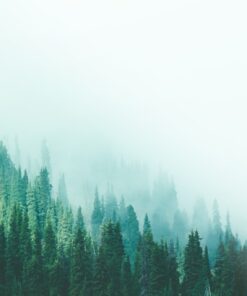 Fototapeta Padající mlha