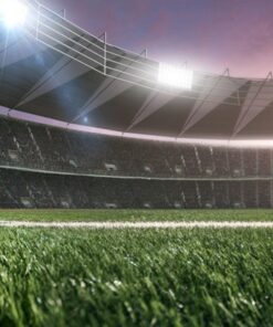 Fototapeta Trávník Na Hřišti