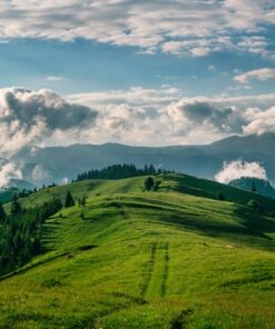 Fototapeta Mountain Green