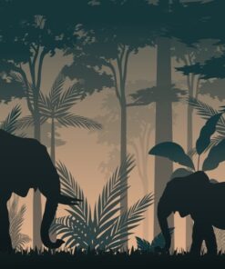 Fototapeta Dva sloni