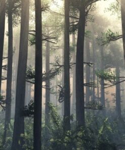 Fototapeta Forest Behind the Fog