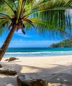 Fototapeta Pod palmou