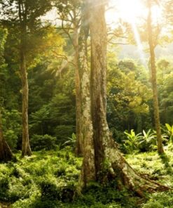 Fototapeta Bright Green 3