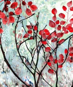 Fototapeta Červený keř