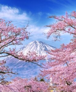 Fototapeta Mount Fuji