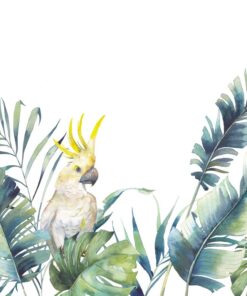 Fototapeta bílý papoušek