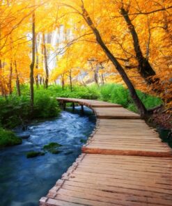 Fototapeta Wooden Path