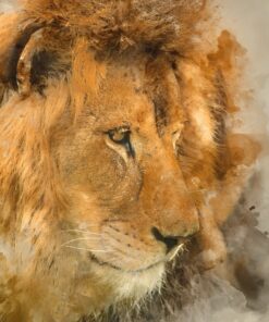 Fototapeta Lví hlava