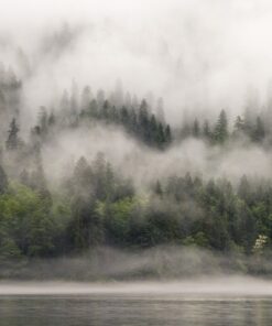 Fototapeta Mlha nad vodou