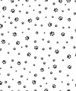 Fototapeta Black Paws
