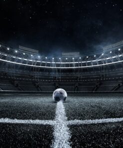 Fototapeta Piłka na Stadionie