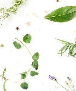 Fototapeta Kuchyňské koření