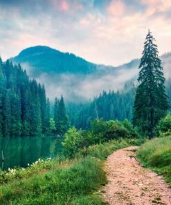 Fototapeta Solar Fog