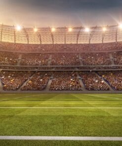 Fototapeta Americký stadion