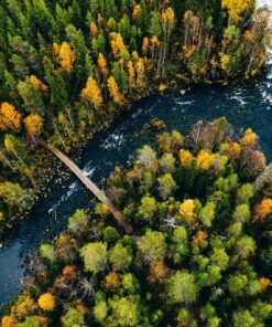 Fototapeta Spring River