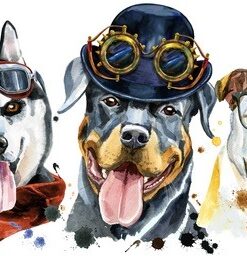 Fototapeta Psi v oblečení