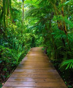 Fototapeta Dřevěná cesta